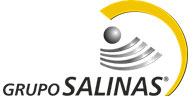 grupo-salinas-1
